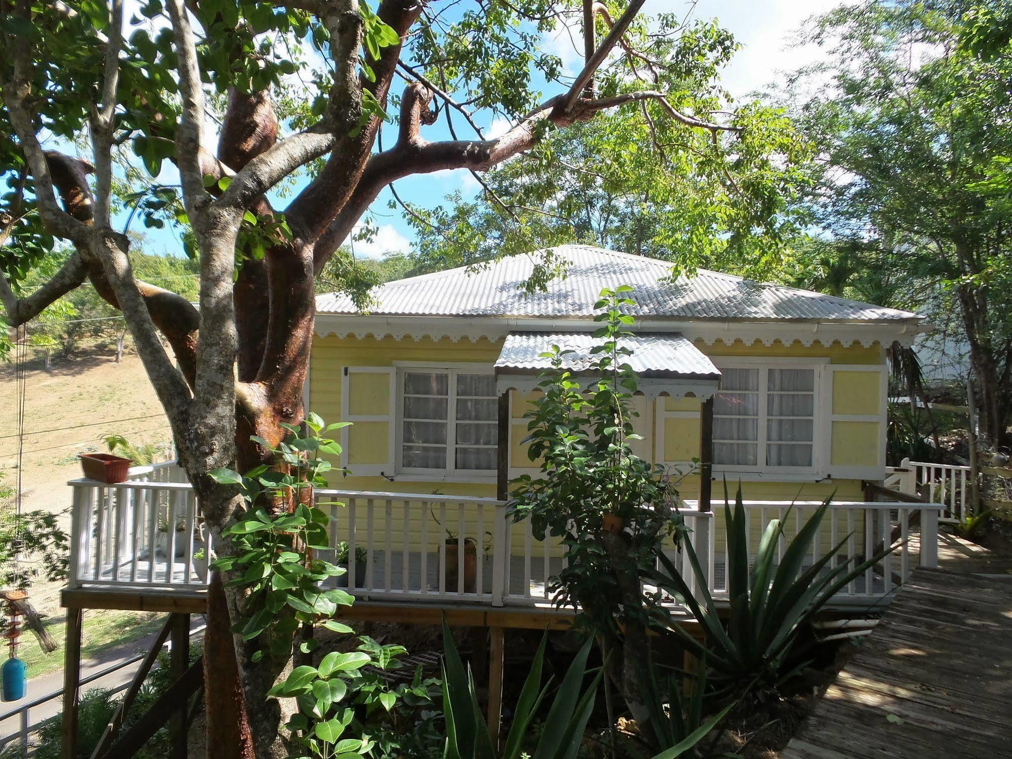 Galley Bay Cottages Five Islands Village Exterior foto
